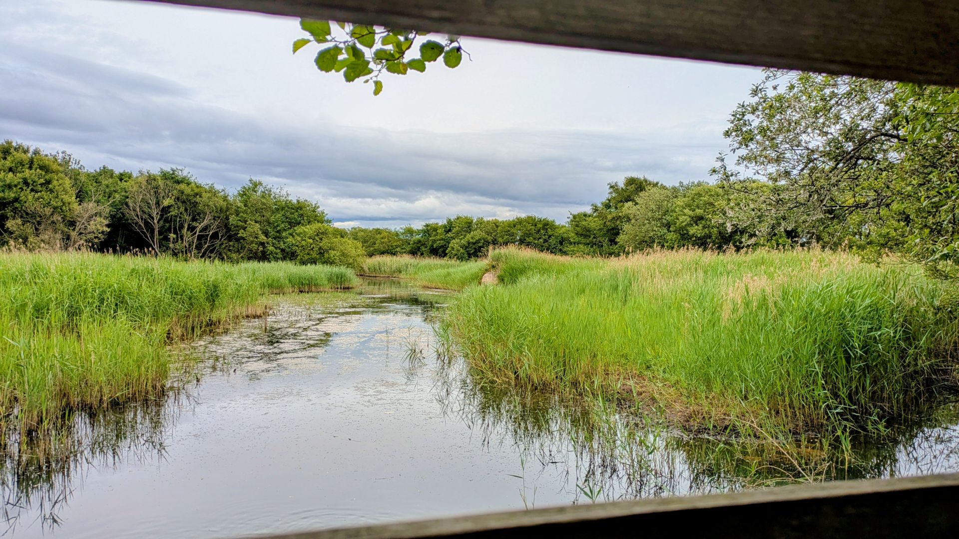 photo of Warren Nature view from look out